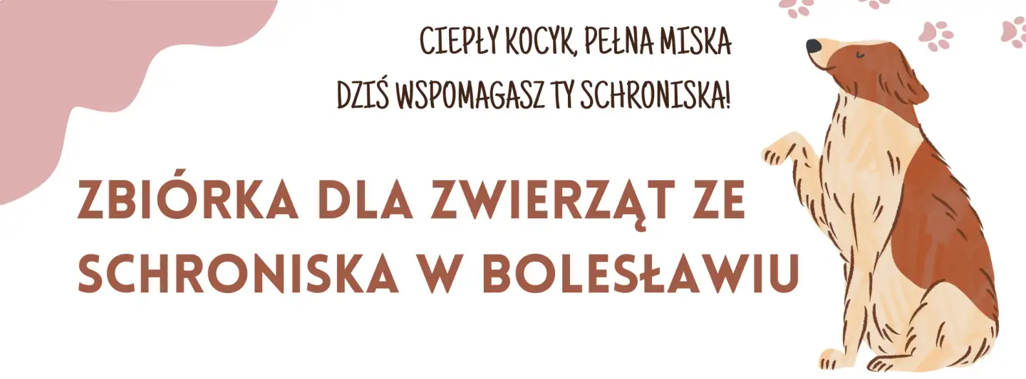 ZBIÓRKA DLA ZWIERZĄT ZE SCHRONISKA W BOLESŁAWIU