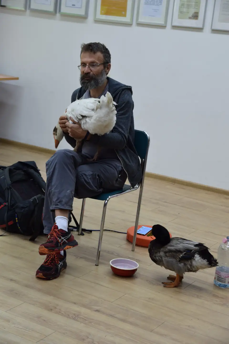 Dariusz Brzeski z gęsią, kaczką i psem